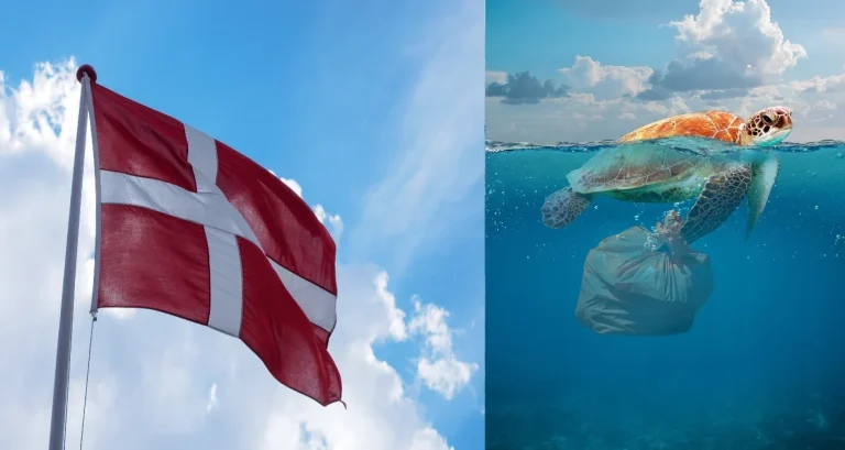 Dänemark: Einwegplastik-Richtlinie und Verpackungsregistrierung